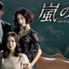 韓国ドラマ 嵐の女